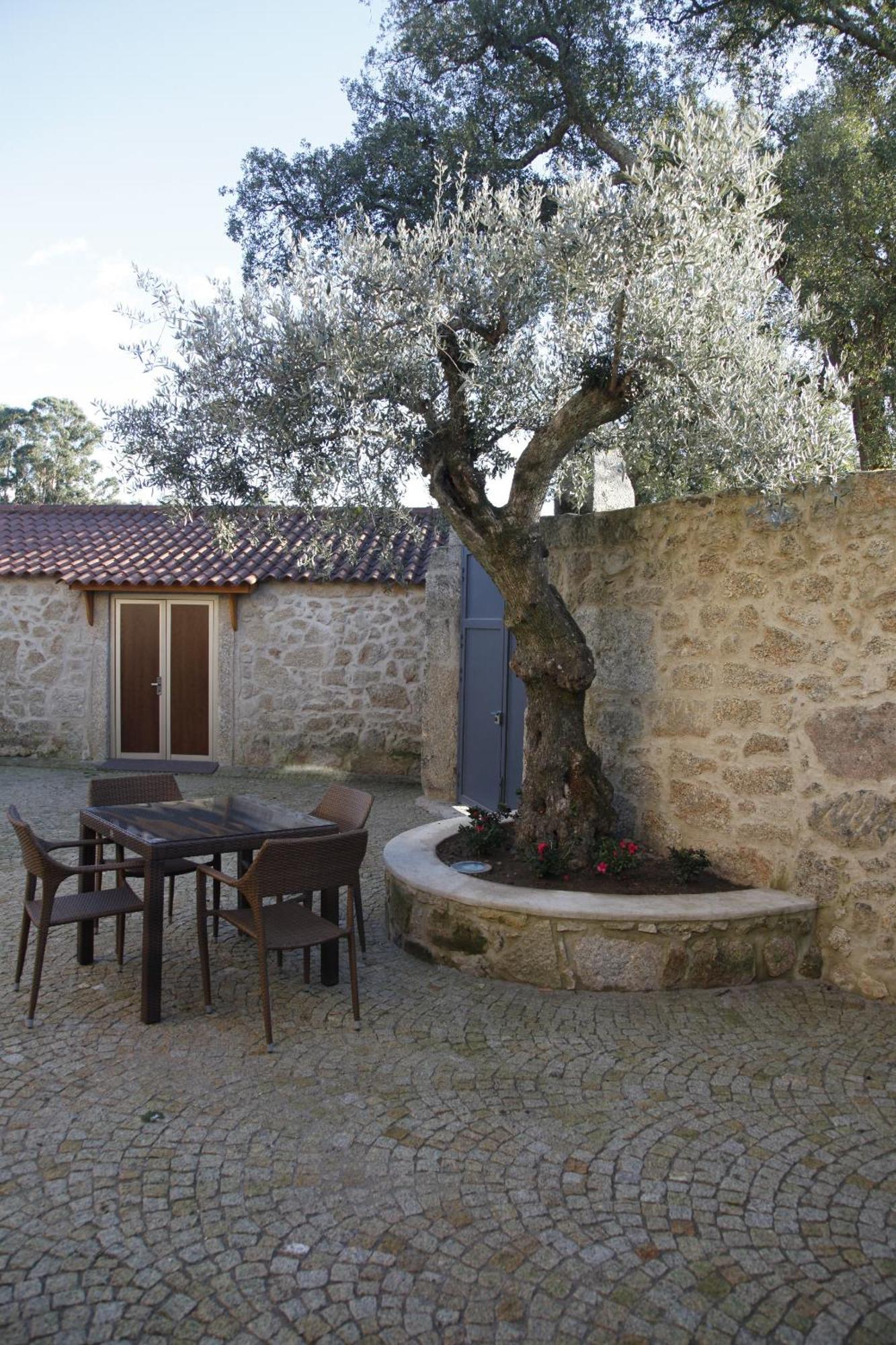 Casas Do Regato Guest House คาสเตโลแบรนโค ภายนอก รูปภาพ