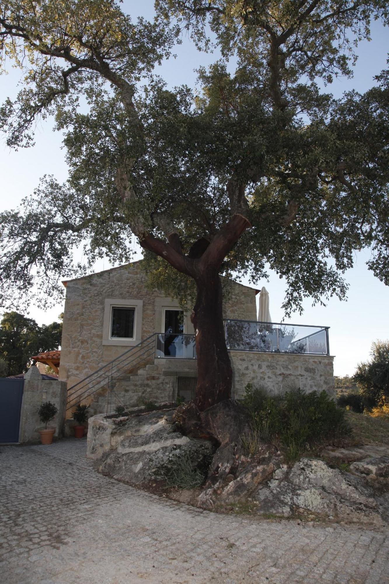 Casas Do Regato Guest House คาสเตโลแบรนโค ภายนอก รูปภาพ
